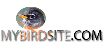 MyBirdSite